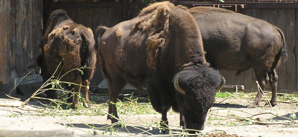 免费cc攻击测试